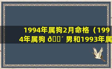 1994年属狗2月命格（1994年属狗 🐴 男和1993年属 🍁 鸡女配吗）